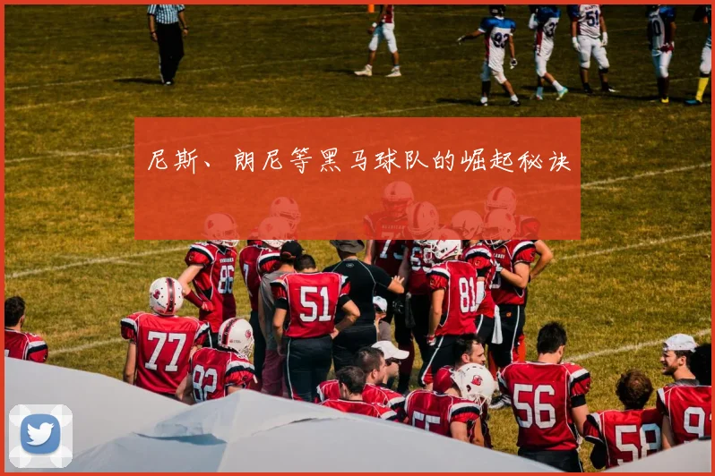 尼斯、朗尼等黑马球队的崛起秘诀