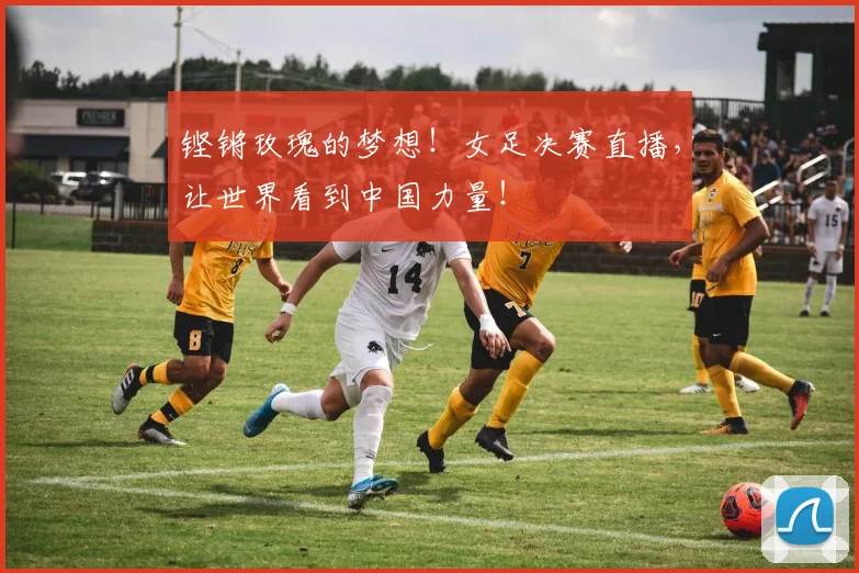 铿锵玫瑰的梦想!女足决赛直播,让世界看到中国力量!