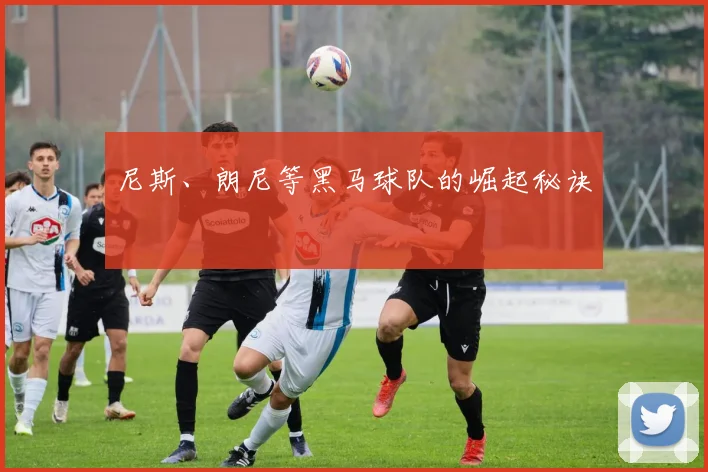 尼斯、朗尼等黑马球队的崛起秘诀